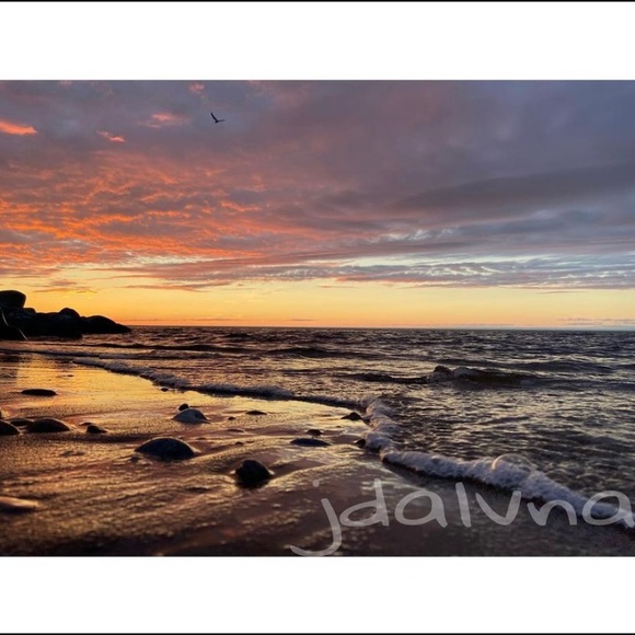 Meet your Posher, Jada - Picture 1 of 1